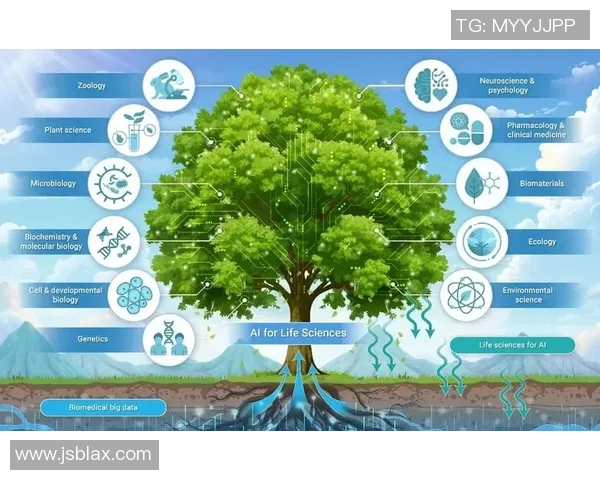 武汉极限运动队的防守策略与挑战深度解析 武汉极限运动队的防守策略与挑战深度解析